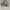 Vans Casual Sneakers Wanita green photo 1