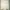 Futurist Anak dan Remaja white photo 4