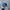 Peaceminusone Streetwear Hat Pria navy photo 1
