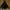 Union 76 Streetwear Sportswear Hoody Pria multicolor black photo 4