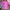 Billionaire Boys Club Streetwear Y2K T-shirt Pria purple pink photo 3