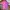Billionaire Boys Club Streetwear Y2K T-shirt Pria purple pink photo 1