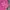 Billionaire Boys Club Streetwear Y2K T-shirt Pria purple pink photo 4