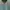 Japanese brand Streetwear Sportswear Hoody Pria green photo 1