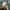 Japanese brand Streetwear Sportswear Hoody Pria green photo 6