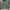Japanese brand Streetwear Sportswear Hoody Pria green photo 2