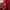 Eiger Gorpcore Sportswear Fleece Pria red photo 2