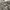 Chanel Luxury Glass Pria black photo 1