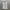 Spao Y2K Tracksuit Pria multicolor photo 4