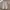 Lee Casual Casual pants Pria cream photo 1