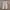 Lee Casual Casual pants Pria cream photo 2