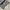 Y2K Skater Jeans Pria gray photo 6