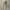New Era Vintage Hoody Pria cream photo 1
