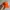 Nike ACG Y2K Gorpcore Hat Pria orange photo 1