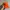 Nike ACG Y2K Gorpcore Hat Pria Orange