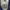 Calvin Klein Streetwear Luxury Parka Pria blue photo 4