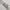 Japanese brand Vintage Pria silver photo 3
