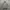 Earth, Music & Ecology Streetwear Puffer Jacket