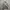 Earth, Music & Ecology Streetwear Puffer Jacket photo 4