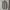 Burberry Vintage Formal shirt Pria cream photo 1