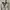 Global Work Vintage Streetwear Formal shirt Pria cream photo 2