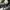 Balenciaga Luxury Casual Sneakers Pria black photo 7