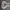 Nike Air Jordan Casual Sneakers Pria white photo 3