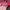 Vintage Casual Hat Pria red photo 2