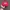Vintage Casual Hat Pria red photo 1