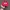 Vintage Casual Hat Pria Red