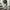 Vintage Y2K Sweatpants & Joggers Pria gray photo 1