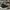 Fendi Luxury Casual Sneakers Pria multicolor photo 3