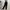 Kappa Sportswear Tracksuit Pria black photo 2