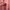Avant Garde Casual Sweater Wanita pink black photo 4