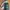 Eastpak Streetwear Bag Pria multicolor photo 2