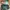 Eastpak Streetwear Bag Pria multicolor photo 1