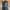 Eastpak Streetwear Bag Pria multicolor photo 6
