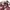 Streetwear Casual Casual shirt Pria multicolor photo 2