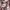 Streetwear Casual Casual shirt Pria multicolor photo 5