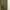 Pull & Bear Streetwear Casual Wanita green photo 2