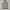 Nike Casual Hoody Pria gray photo 2