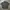 Japanese brand Vintage Casual Casual shirt Pria black gray photo 2