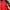 Kappa Streetwear Casual Track jacket Pria black red photo 3