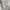 Lafudge Streetwear Casual Formal shirt Pria white photo 4