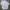 Uniform Bridge Streetwear Casual Formal shirt Pria blue photo 5