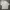 BESLOW Streetwear Casual Formal shirt Pria cream tan photo 6