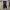 Mizuno Vintage Sweatpants & Joggers Pria black photo 1