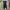Mizuno Vintage Sweatpants & Joggers Pria Black