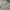 Japanese brand Streetwear Casual Casual shirt Pria white gray photo 3