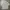 Japanese Brand Streetwear Casual Casual Shirt Pria White Gray